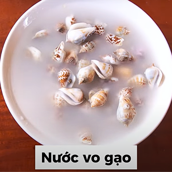 Cách sơ chế ốc nhảy sạch cát