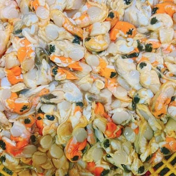 Cồi sò trai giá sỉ