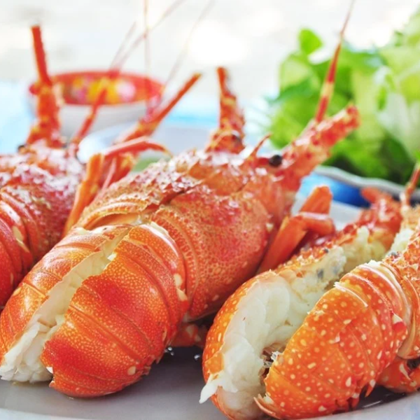 Tôm hùm đỏ giá si