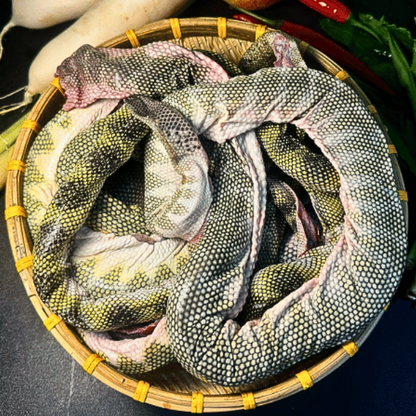 rắn biển giá sỉ 