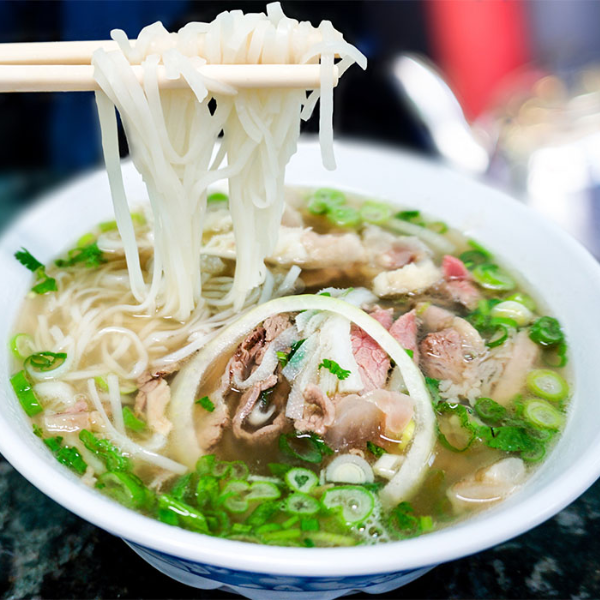 Sá sùng giá sỉ