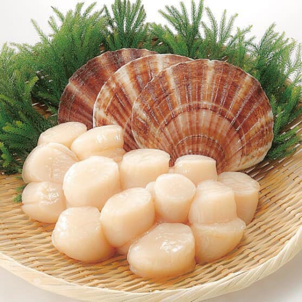 Cồi sò điệp loại 1 giá sỉ 
