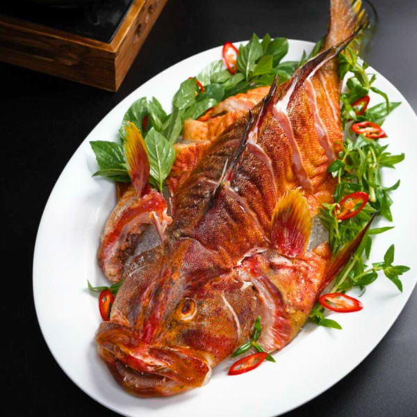 Cá mú đỏ giá sỉ