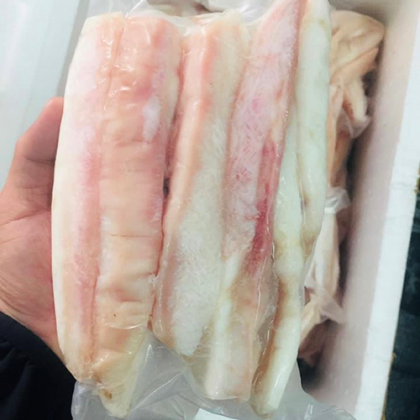 Gân cá ngừ đại dương giá sỉ