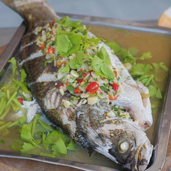 Cá chim trắng giá sỉ