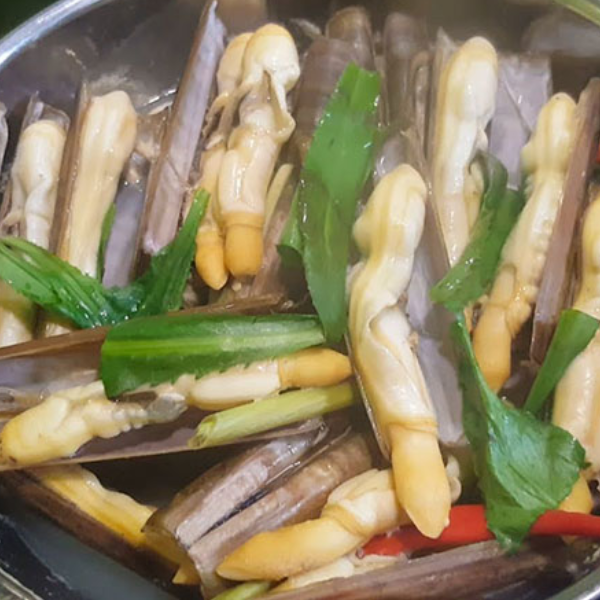 ốc móng tay chúa giá sỉ 