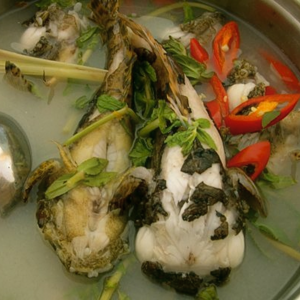 Cá mặt quỷ chất lượng